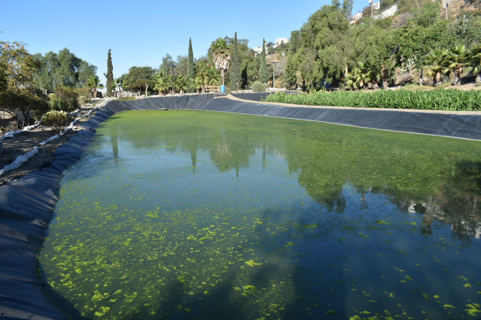 Reapertura de Ecoparque