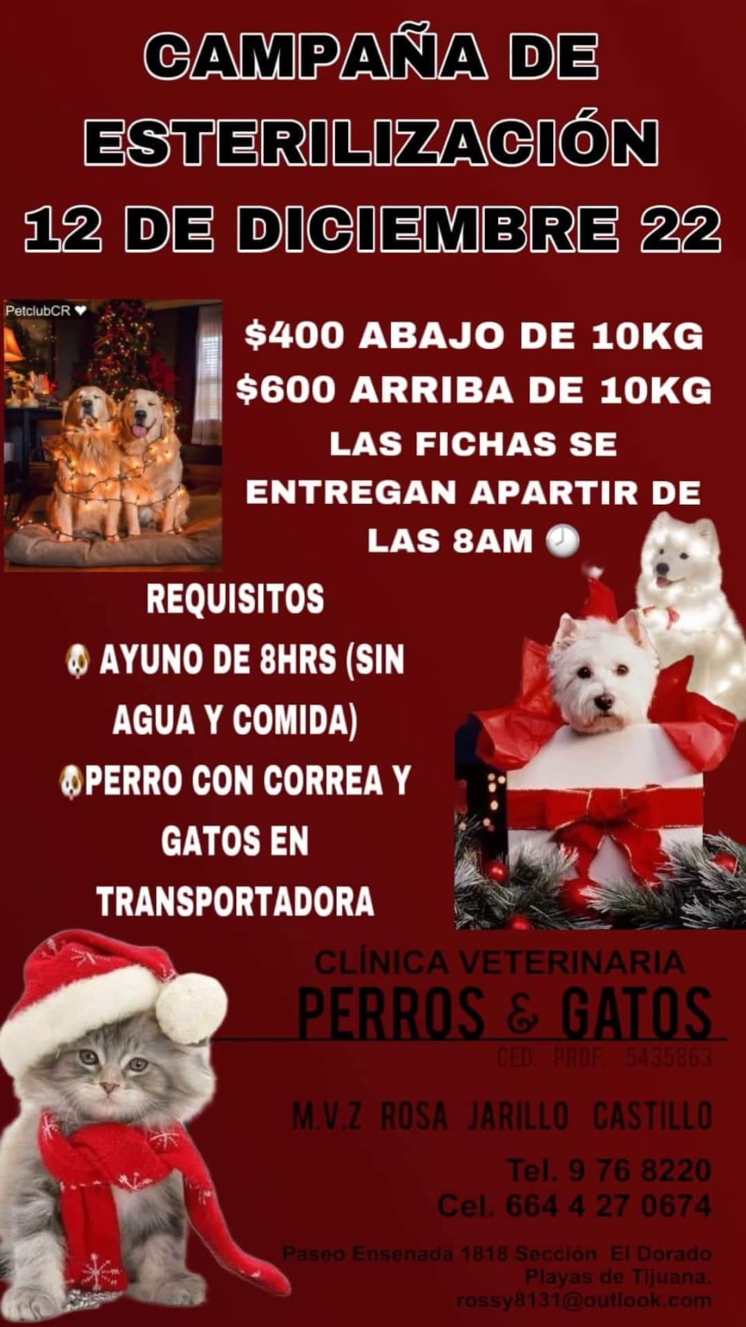 CARTELERA DE ESTERILIZACIÓN