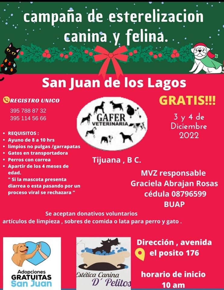 CARTELERA DE ESTERILIZACIÓN