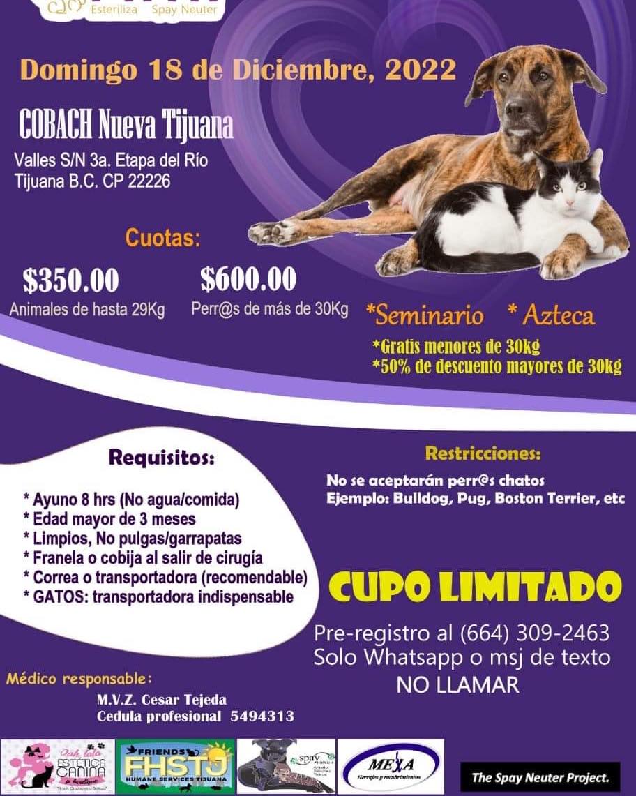 CARTELERA DE ESTERILIZACIÓN