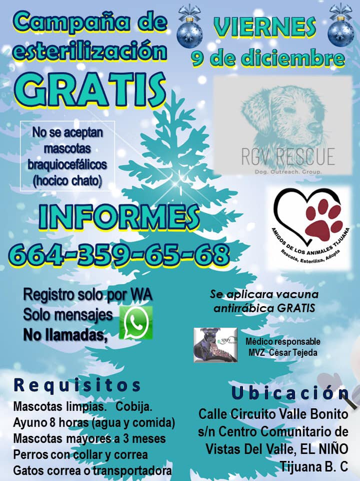 CARTELERA DE ESTERILIZACIÓN