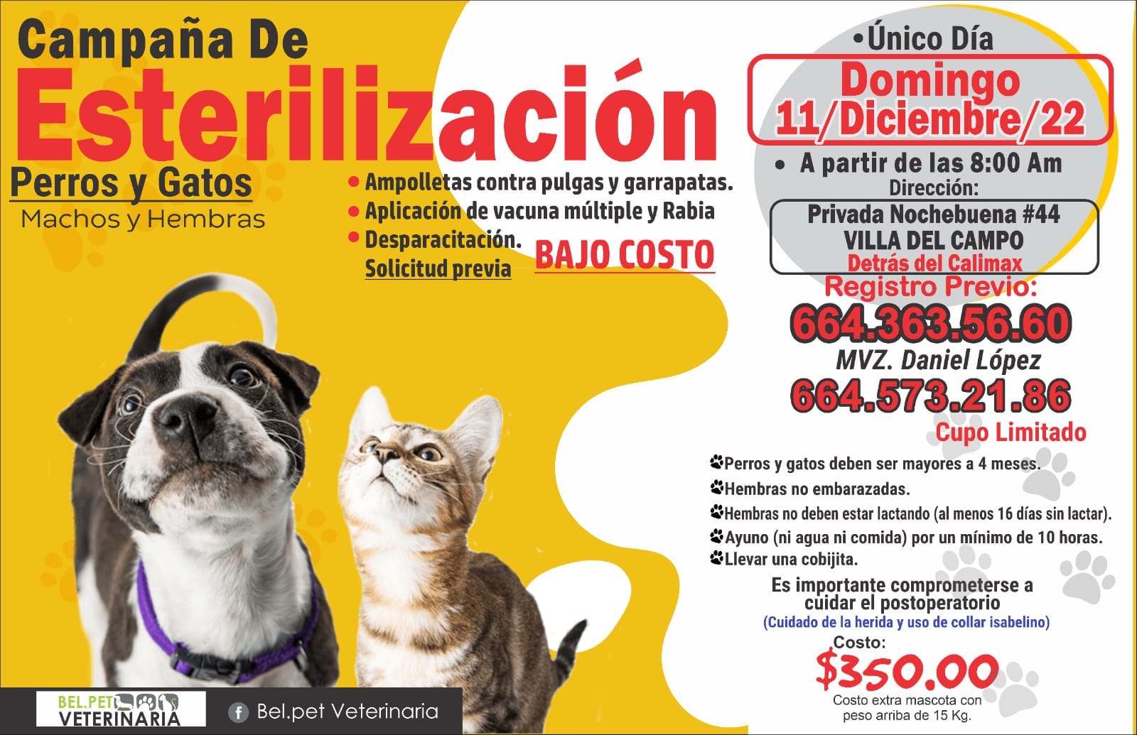 CARTELERA DE ESTERILIZACIÓN