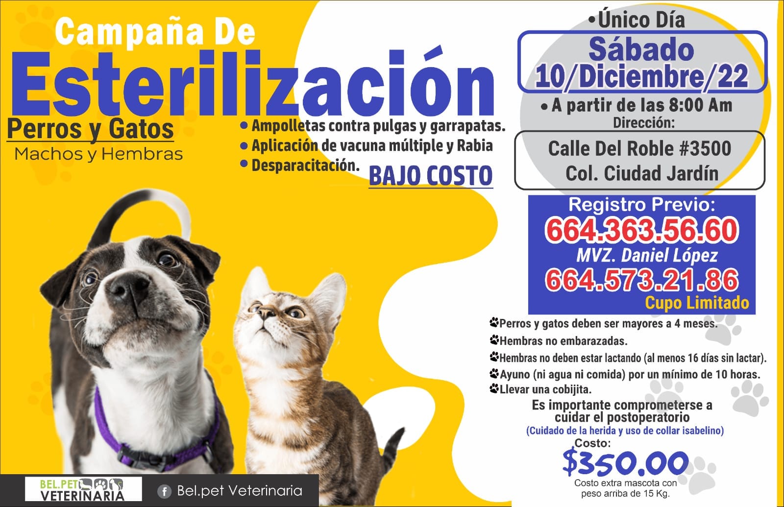 CARTELERA DE ESTERILIZACIÓN