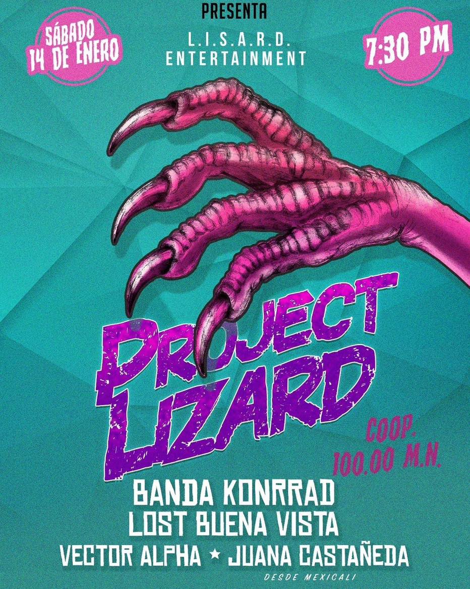 Project Lizard