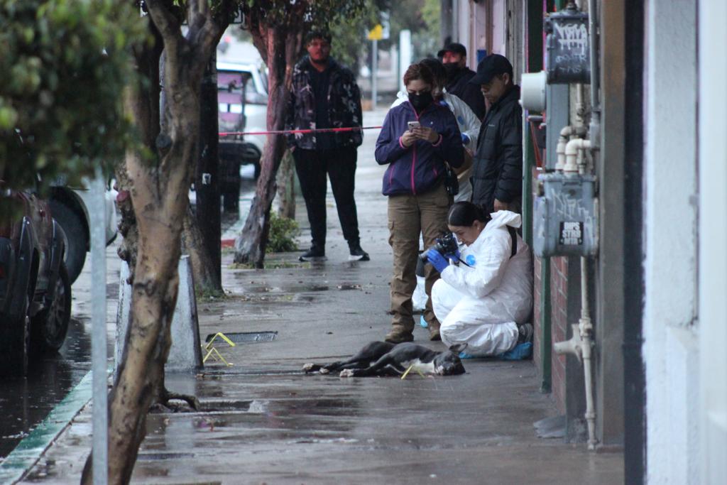 Asesinan a Mujer y a un perro