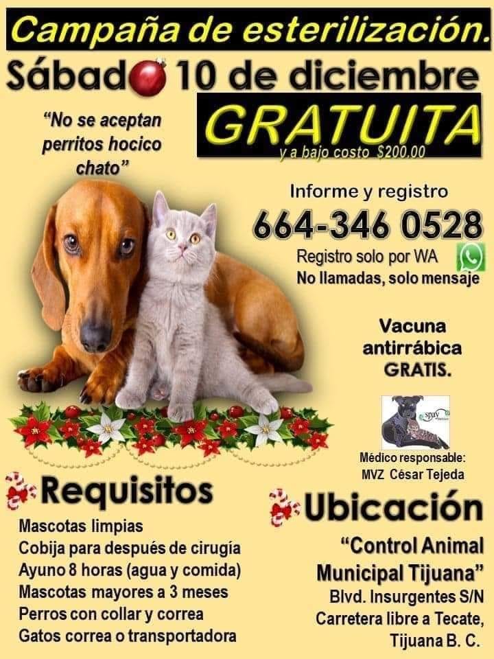 CARTELERA DE ESTERILIZACIÓN