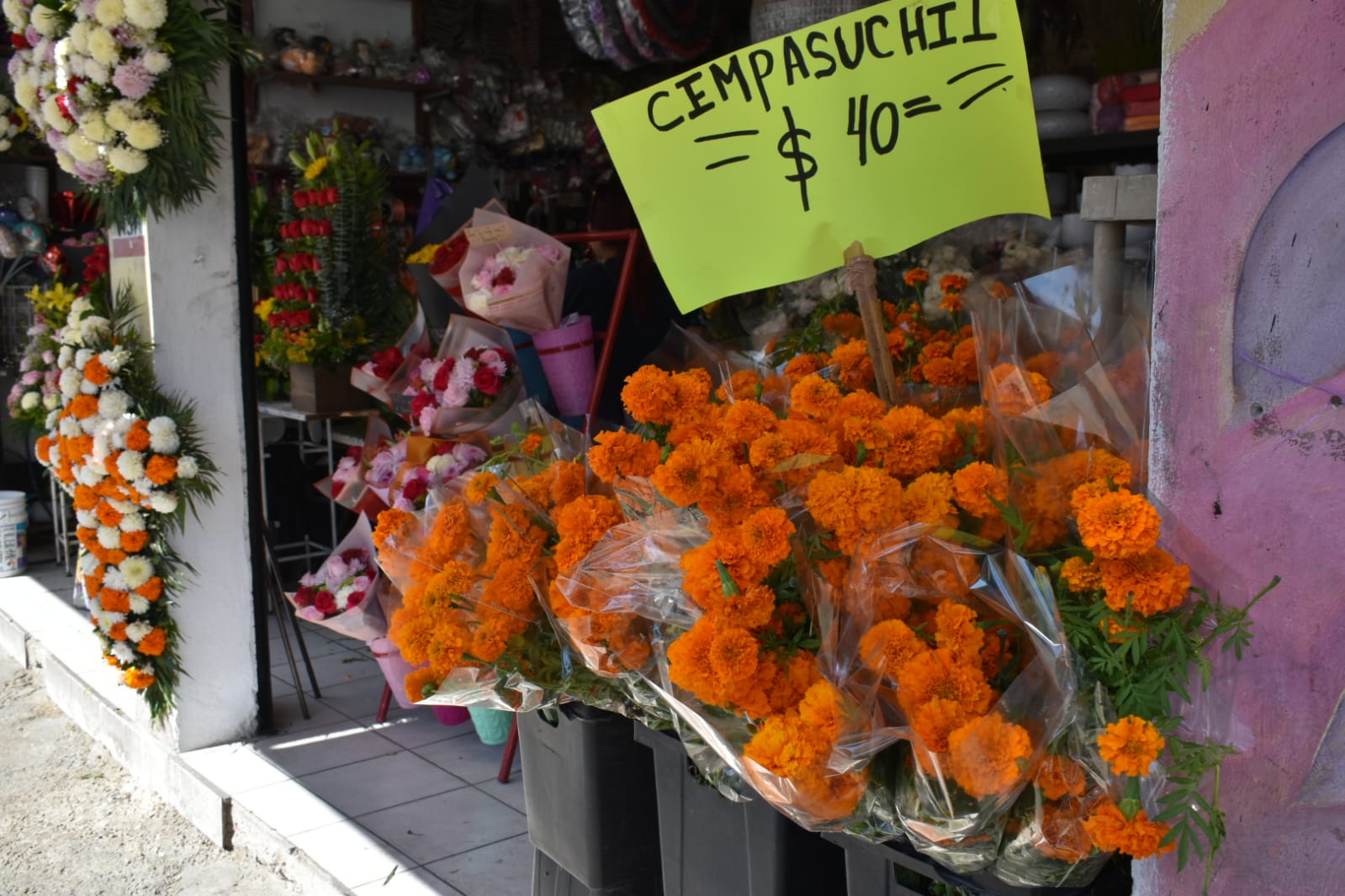 Calles de Tijuana comienzan a teñirse de naranja