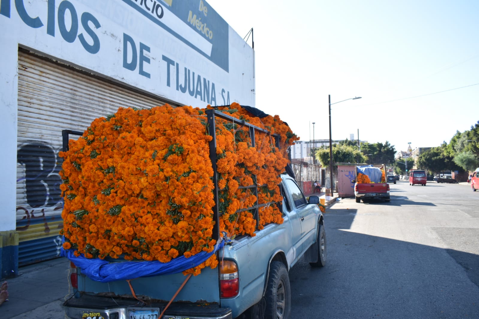 Calles de Tijuana comienzan a teñirse de naranja